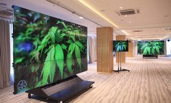 Многофункциональный зал-трансформер в бизнес-центре «Пальмира»