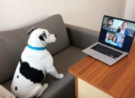 Тенденции Pro AV в новом мире