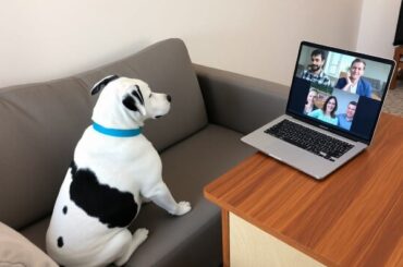 Тенденции Pro AV в новом мире