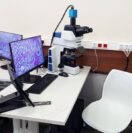 Лаборатория цифровой микроскопии установлена в Медицинском университете имени И.М. Сеченова