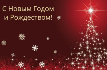 С наступающим Новым 2025 годом и Рождеством!